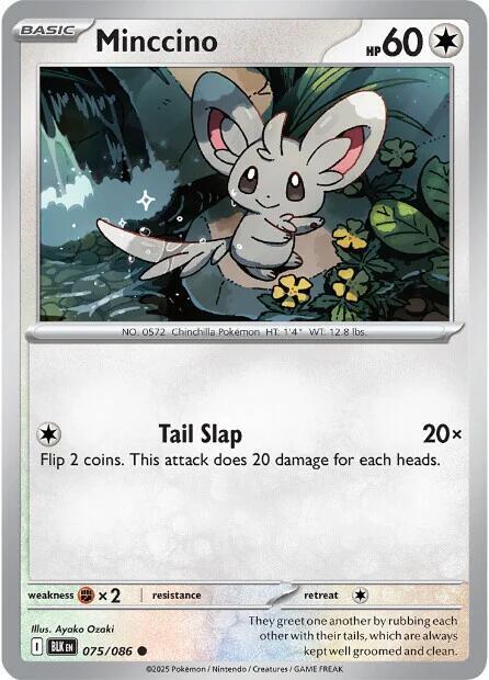 Minccino - 075/086 - SV: Black Bolt (BLK) - Normal - Pokemon TCG Card