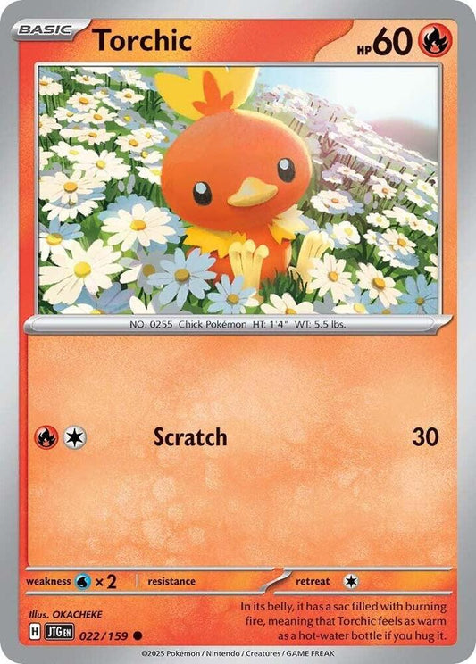 Torchic - 022/159 - SV09: Journey Together (JTG) - Normal - Pokemon TCG Card