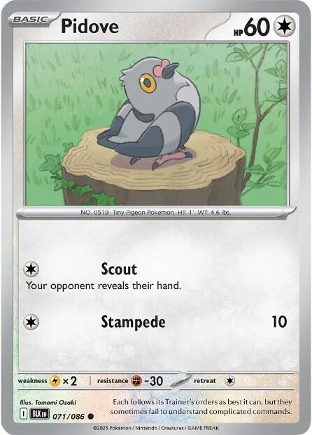 Pidove - 071/086 - SV: Black Bolt (BLK) - Normal - Pokemon TCG Card