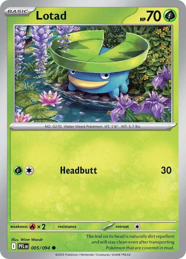 Lotad - 005/094 - ME02: Phantasmal Flames (PFL) - Normal - Pokemon TCG Card