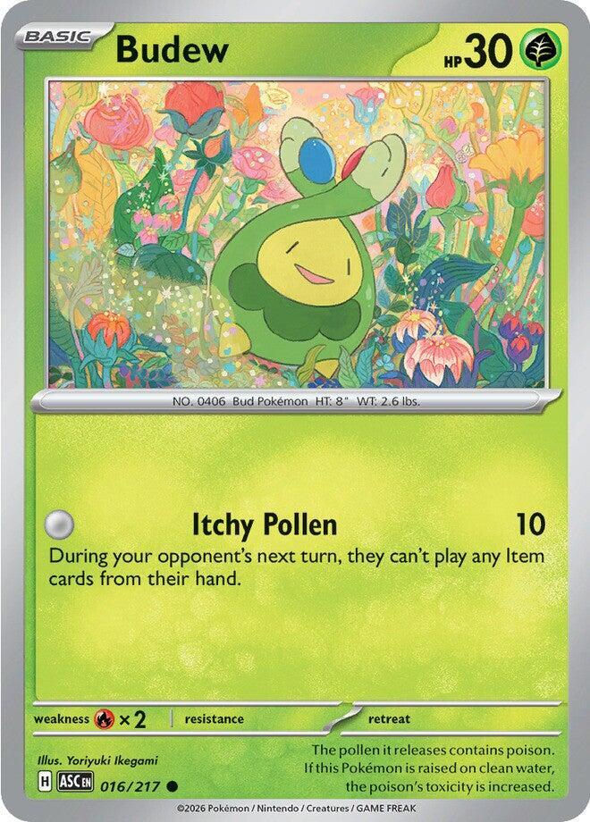 Budew - 016/217 - ME: Ascended Heroes (ASC) - Common - Normal - Pokemon TCG Card