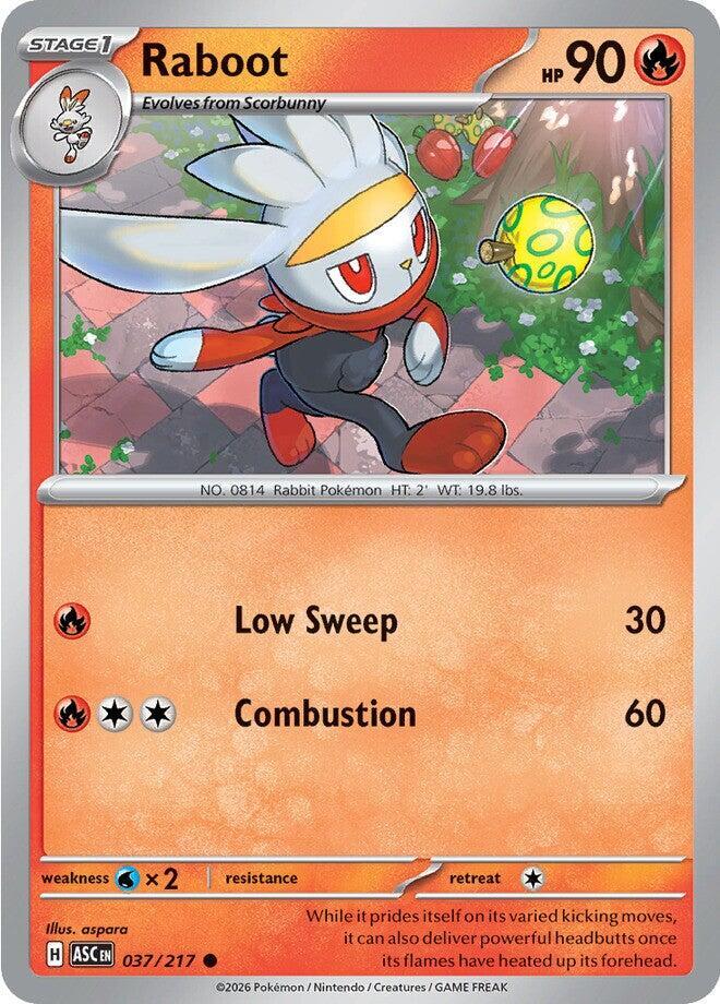 Raboot - 037/217 - ME: Ascended Heroes (ASC) - Normal - Pokemon TCG Card