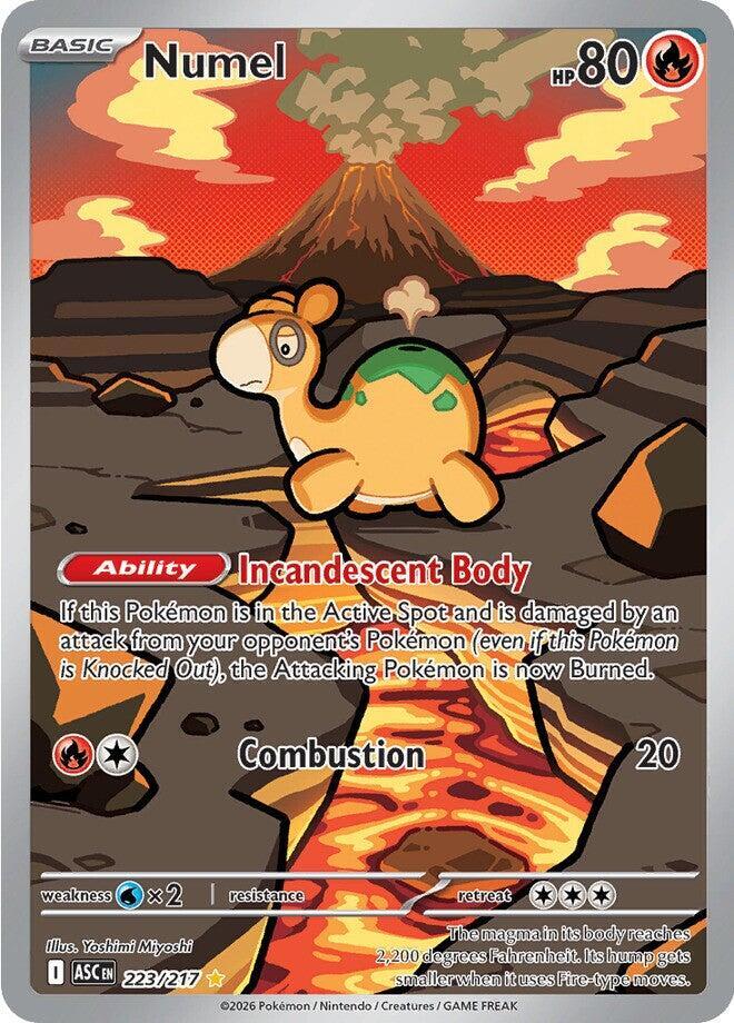 Numel - 223/217 - ME: Ascended Heroes (ASC) - Illustration Rare