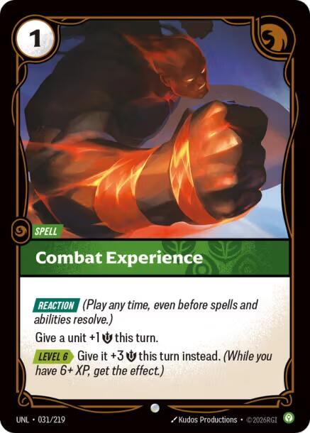 Combat Experience - 031/219 - Unleashed (UNL) - Normal - Riftbound TCG Card